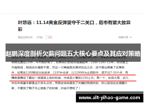 赵鹏深度剖析欠薪问题五大核心要点及其应对策略